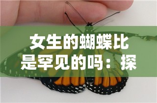 女生的蝴蝶比是罕见的吗：探究其稀有程度与原因