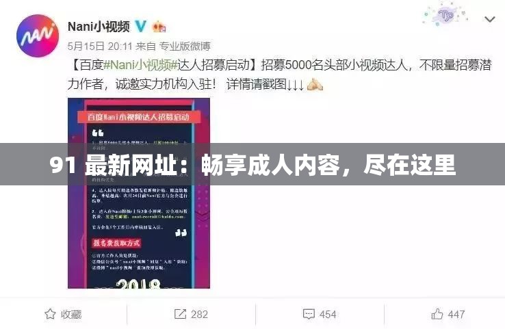 91 最新网址：畅享成人内容，尽在这里