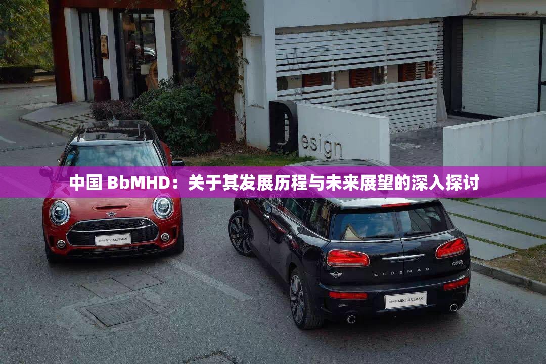 中国 BbMHD：关于其发展历程与未来展望的深入探讨