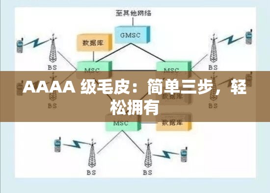 AAAA 级毛皮：简单三步，轻松拥有