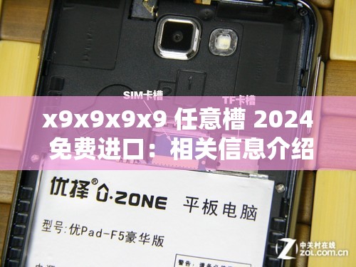 x9x9x9x9 任意槽 2024 免费进口：相关信息介绍及优势分析