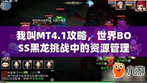 我叫MT4.1攻略，世界BOSS黑龙挑战中的资源管理艺术与推荐策略