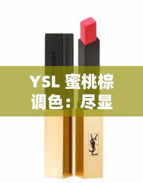 YSL 蜜桃棕调色：尽显优雅气质与独特魅力的时尚之选