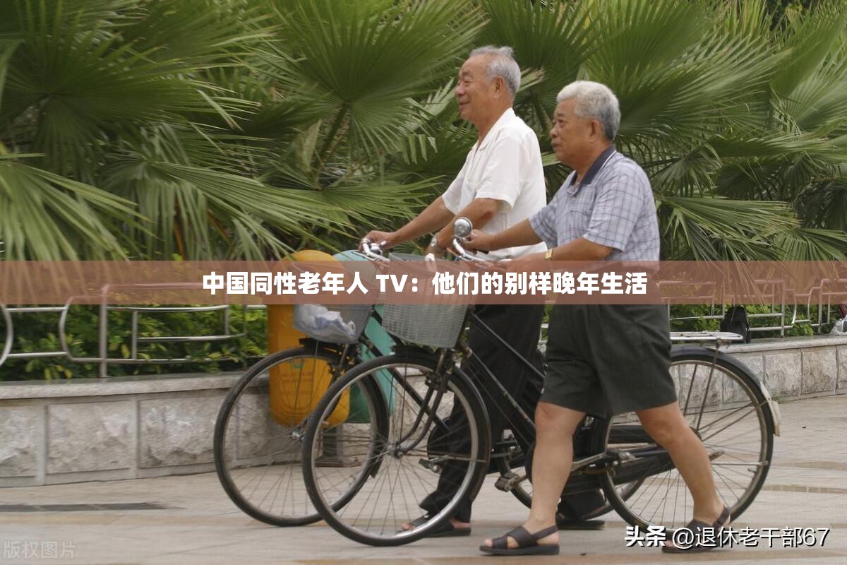 中国同性老年人 TV：他们的别样晚年生活