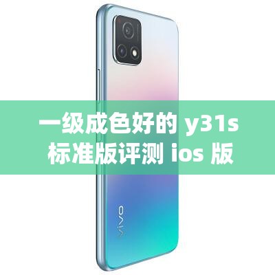 一级成色好的 y31s 标准版评测 ios 版-详细全面专业解读