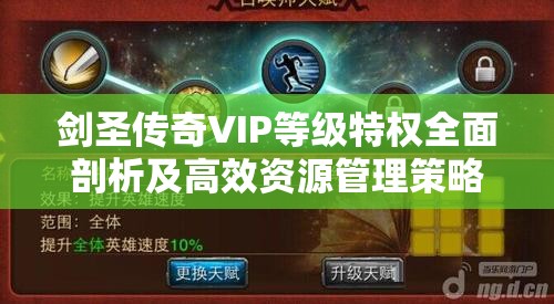 剑圣传奇VIP等级特权全面剖析及高效资源管理策略指南