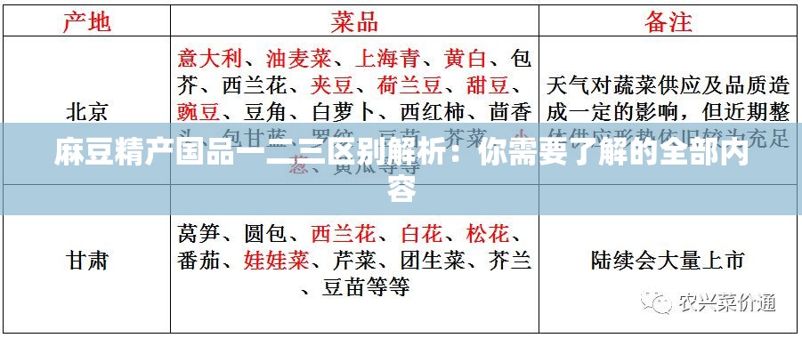 麻豆精产国品一二三区别解析：你需要了解的全部内容