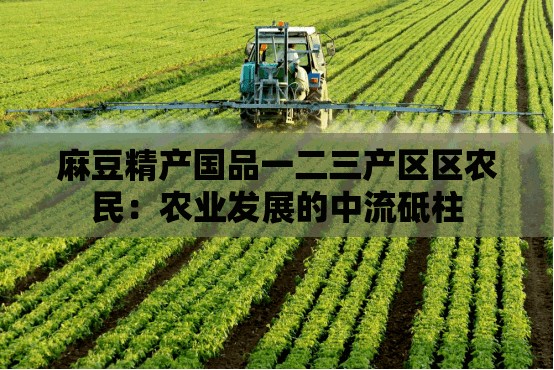 麻豆精产国品一二三产区区农民：农业发展的中流砥柱