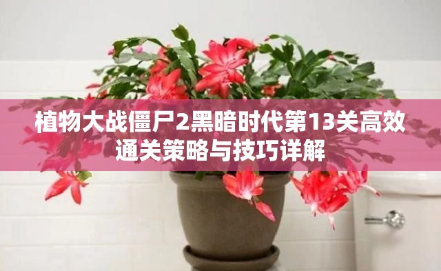 植物大战僵尸2黑暗时代第13关高效通关策略与技巧详解