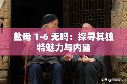 盐母 1-6 无吗：探寻其独特魅力与内涵