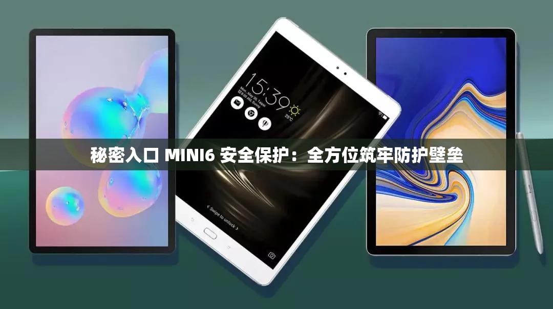 秘密入口 MINI6 安全保护：全方位筑牢防护壁垒