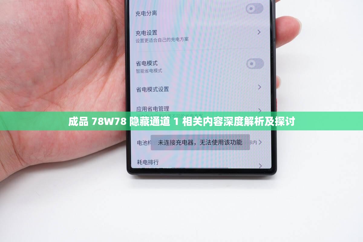 成品 78W78 隐藏通道 1 相关内容深度解析及探讨