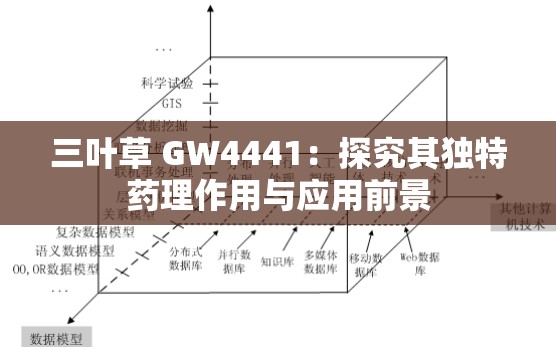 三叶草 GW4441：探究其独特药理作用与应用前景