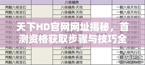 天下HD官网网址揭秘，首测资格获取步骤与技巧全攻略