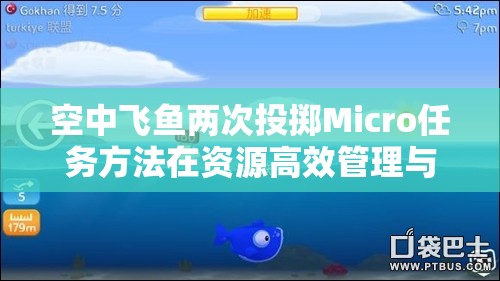 空中飞鱼两次投掷Micro任务方法在资源高效管理与优化策略中的重要性