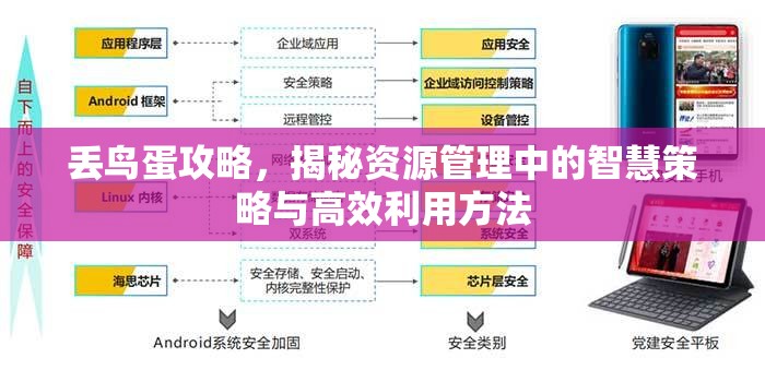 丢鸟蛋攻略，揭秘资源管理中的智慧策略与高效利用方法