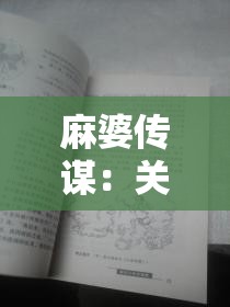 麻婆传谋：关于其背后故事及历史意义的深入探究