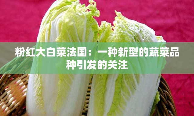 粉红大白菜法国：一种新型的蔬菜品种引发的关注