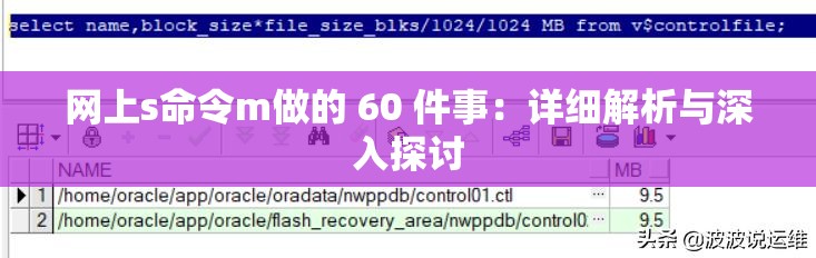 网上s命令m做的 60 件事：详细解析与深入探讨