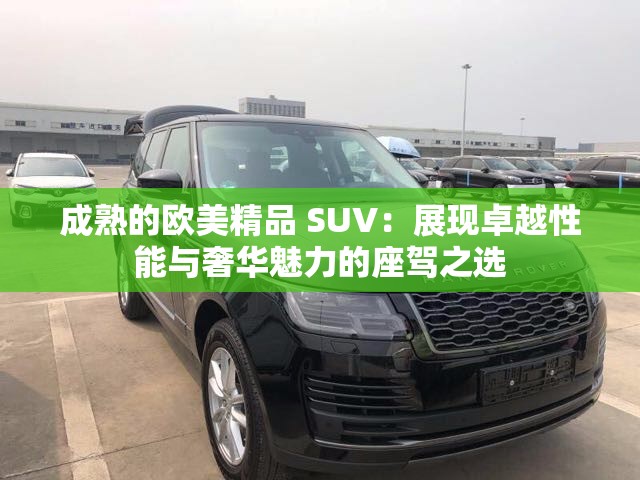 成熟的欧美精品 SUV：展现卓越性能与奢华魅力的座驾之选