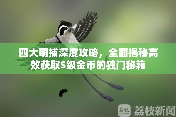 四大萌捕深度攻略，全面揭秘高效获取S级金币的独门秘籍