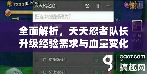 全面解析，天天忍者队长升级经验需求与血量变化详细表格