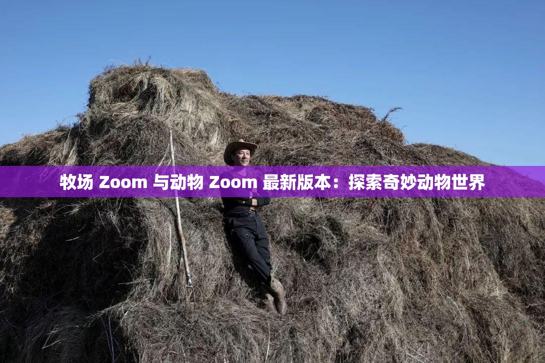 牧场 Zoom 与动物 Zoom 最新版本：探索奇妙动物世界