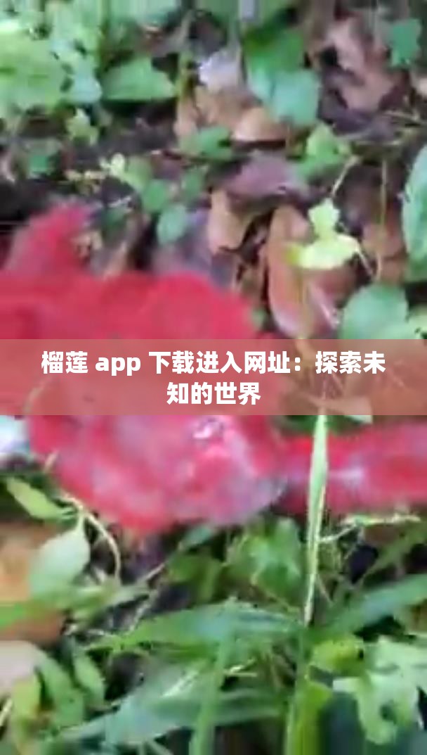 榴莲 app 下载进入网址：探索未知的世界