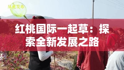 红桃国际一起草：探索全新发展之路