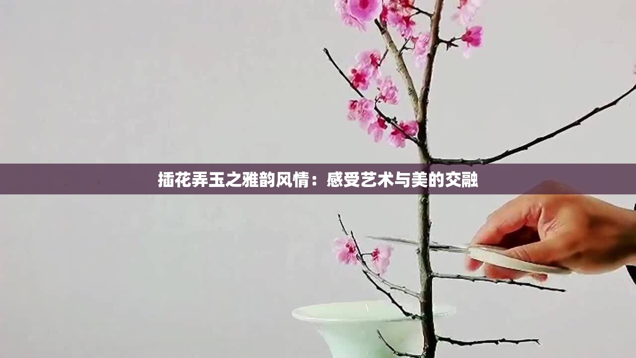 插花弄玉之雅韵风情：感受艺术与美的交融