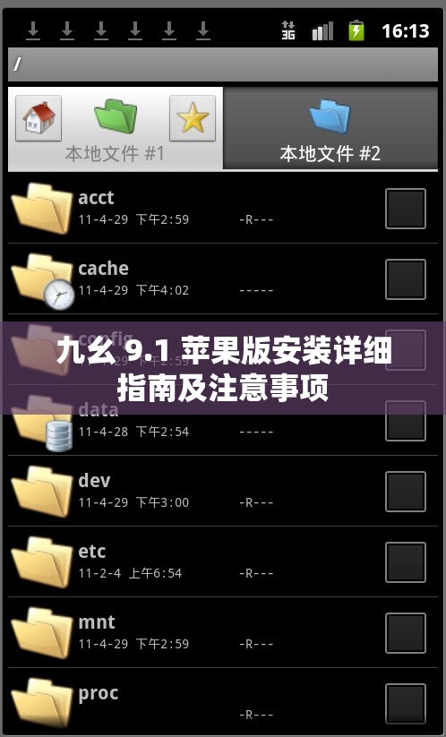 九幺 9.1 苹果版安装详细指南及注意事项