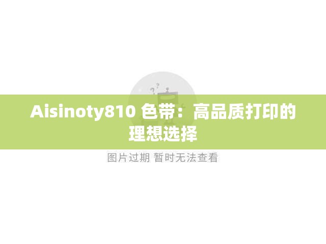 Aisinoty810 色带：高品质打印的理想选择