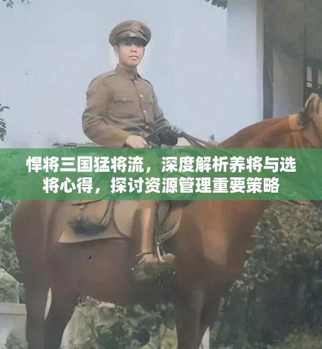 悍将三国猛将流，深度解析养将与选将心得，探讨资源管理重要策略