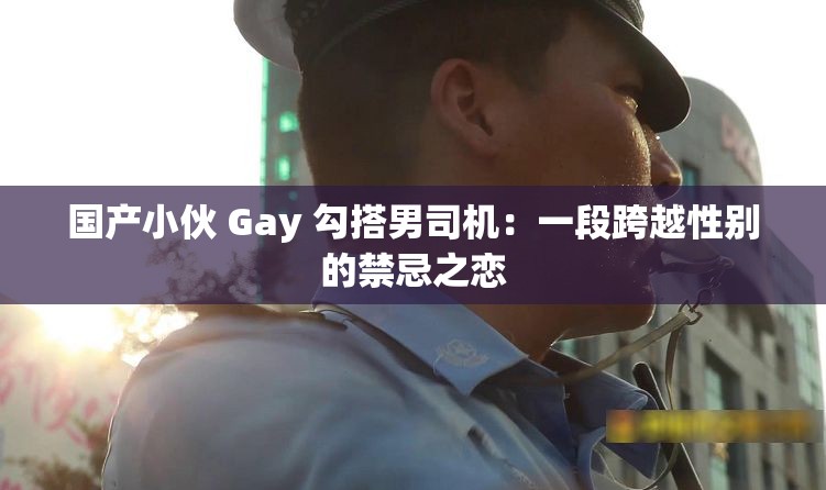 国产小伙 Gay 勾搭男司机：一段跨越性别的禁忌之恋