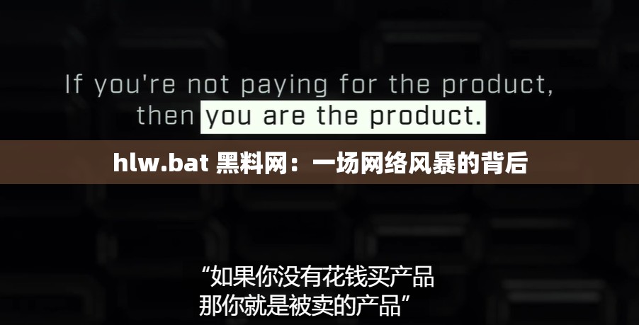 hlw.bat 黑料网：一场网络风暴的背后