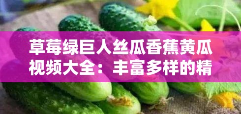 草莓绿巨人丝瓜香蕉黄瓜视频大全：丰富多样的精彩合集