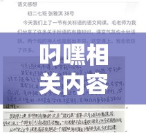 叼嘿相关内容引发的深度思考与探讨