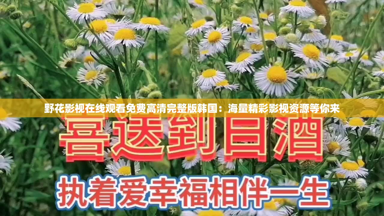 野花影视在线观看免费高清完整版韩国：海量精彩影视资源等你来