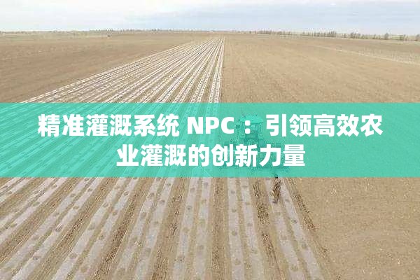 精准灌溉系统 NPC ：引领高效农业灌溉的创新力量