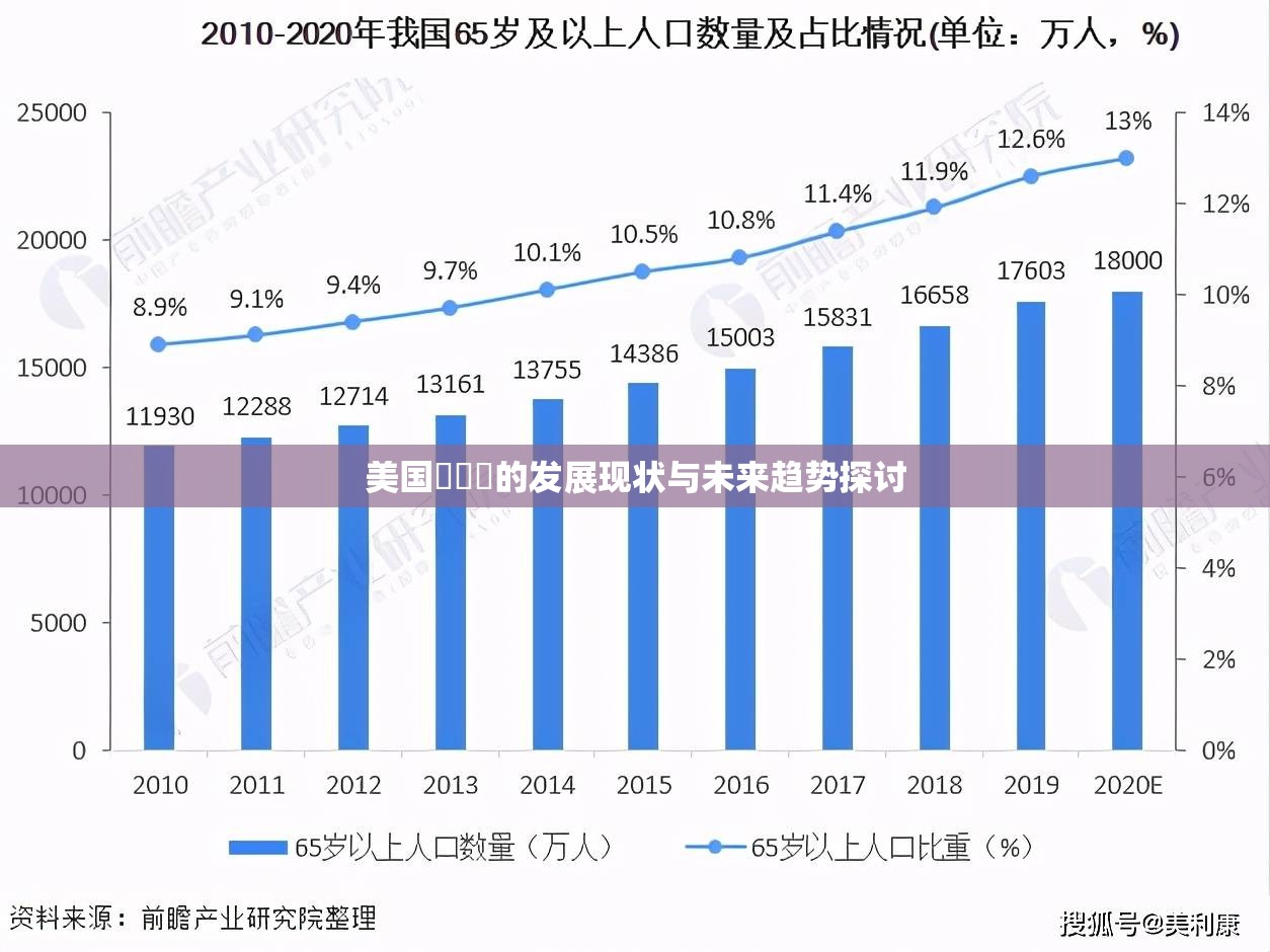 美国乄乄乄的发展现状与未来趋势探讨