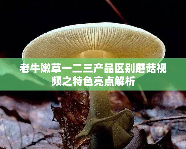 老牛嫩草一二三产品区别蘑菇视频之特色亮点解析