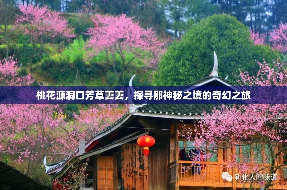 桃花源洞口芳草萋萋，探寻那神秘之境的奇幻之旅