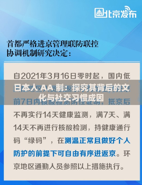 日本人 AA 制：探究其背后的文化与社交习惯成因