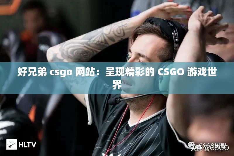 好兄弟 csgo 网站：呈现精彩的 CSGO 游戏世界