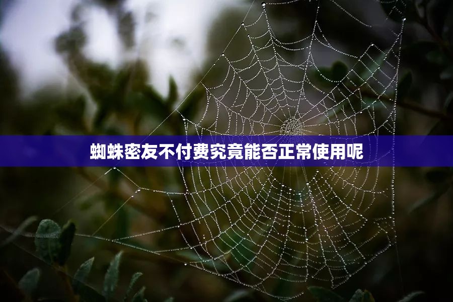 蜘蛛密友不付费究竟能否正常使用呢