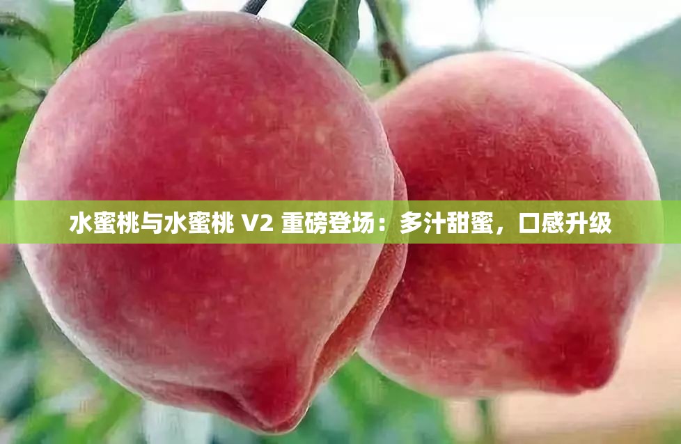 水蜜桃与水蜜桃 V2 重磅登场：多汁甜蜜，口感升级