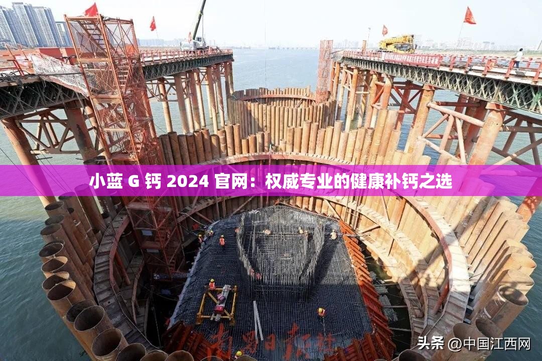 小蓝 G 钙 2024 官网：权威专业的健康补钙之选