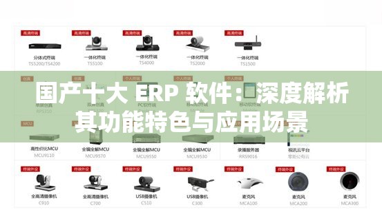 国产十大 ERP 软件：深度解析其功能特色与应用场景