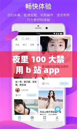 夜里 100 大禁用 b 站 app 入口：探寻神秘之处