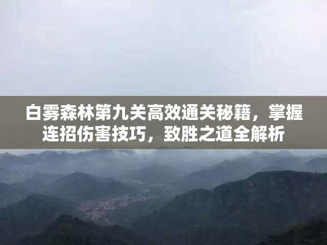 白雾森林第九关高效通关秘籍，掌握连招伤害技巧，致胜之道全解析